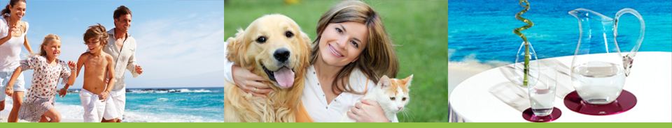 TeslaVital -Teslaplatten® - Wohlbefinden steigern